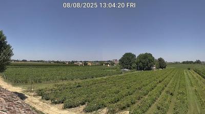 immagine della webcam nei dintorni di Castrocaro Terme e Terra del Sole: webcam Bagnacavallo