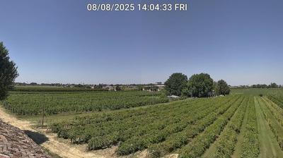 immagine della webcam nei dintorni di Conselice: webcam Bagnacavallo