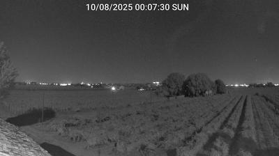 immagine della webcam nei dintorni di Faenza: webcam Bagnacavallo