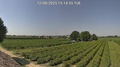 immagine della webcam nei dintorni di Casal Borsetti: webcam Bagnacavallo