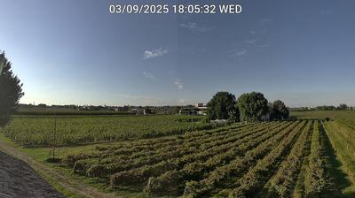 immagine della webcam nei dintorni di Forlì: webcam Bagnacavallo