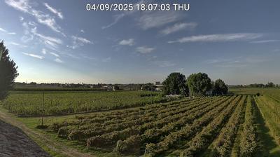 immagine della webcam nei dintorni di Medicina: webcam Bagnacavallo