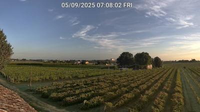 immagine della webcam nei dintorni di Ravenna: webcam Bagnacavallo