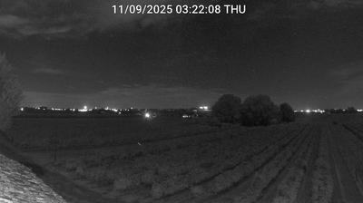 immagine della webcam nei dintorni di Forli' Ridolfi: webcam Bagnacavallo