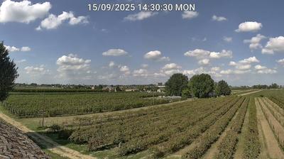 immagine della webcam nei dintorni di Modigliana: webcam Bagnacavallo