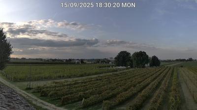 immagine della webcam nei dintorni di Villafranca di Forlì: webcam Bagnacavallo