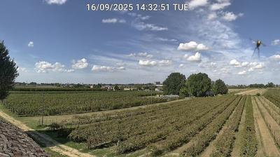 immagine della webcam nei dintorni di Porto Corsini: webcam Bagnacavallo