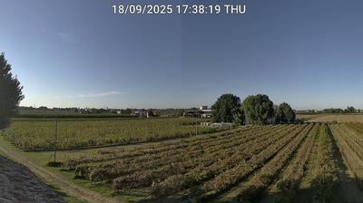 immagine della webcam nei dintorni di Mirabilandia: webcam Bagnacavallo