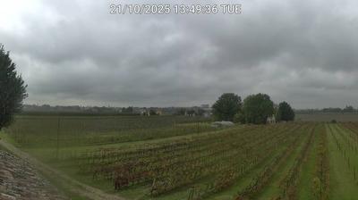 immagine della webcam nei dintorni di Porto Corsini: webcam Bagnacavallo