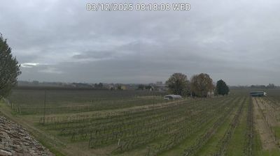 immagine della webcam nei dintorni di Faenza: webcam Bagnacavallo