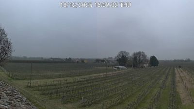 immagine della webcam nei dintorni di Modigliana: webcam Bagnacavallo