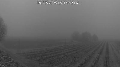 immagine della webcam nei dintorni di Cotignola: webcam Bagnacavallo