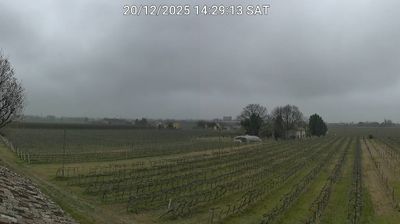 immagine della webcam nei dintorni di Porto Corsini: webcam Bagnacavallo