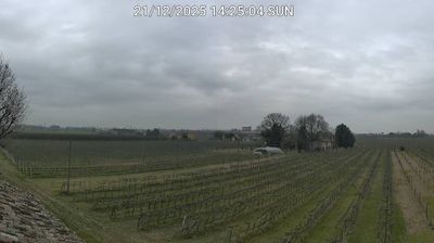 immagine della webcam nei dintorni di Riolo Terme: webcam Bagnacavallo