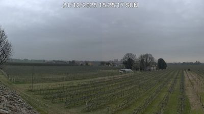 immagine della webcam nei dintorni di Lavezzola: webcam Bagnacavallo