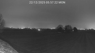 immagine della webcam nei dintorni di Lido Adriano: webcam Bagnacavallo