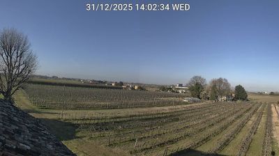 immagine della webcam nei dintorni di Punta Marina: webcam Bagnacavallo