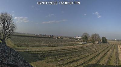 immagine della webcam nei dintorni di Forli' Ridolfi: webcam Bagnacavallo