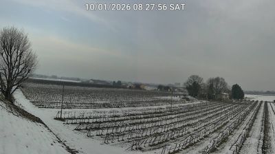 immagine della webcam nei dintorni di Forlì: webcam Bagnacavallo