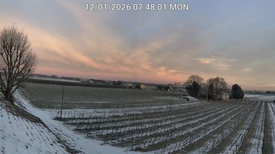 immagine della webcam nei dintorni di Porto Garibaldi: webcam Bagnacavallo