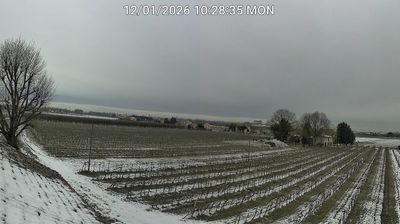 immagine della webcam nei dintorni di Porto Garibaldi: webcam Bagnacavallo