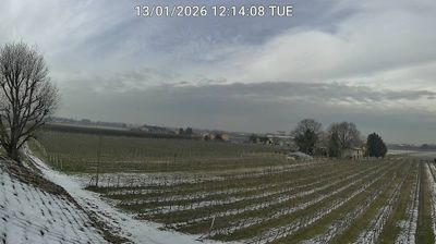immagine della webcam nei dintorni di Villafranca di Forlì: webcam Bagnacavallo