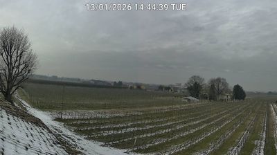 immagine della webcam nei dintorni di Lido degli Estensi: webcam Bagnacavallo