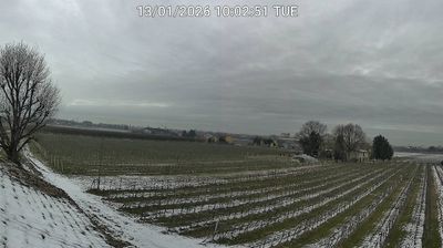 immagine della webcam nei dintorni di Porto Garibaldi: webcam Bagnacavallo