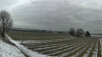 immagine della webcam nei dintorni di Lido di Spina: webcam Bagnacavallo