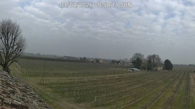 immagine della webcam nei dintorni di Forlì: webcam Bagnacavallo