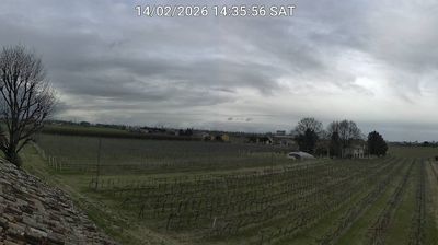 immagine della webcam nei dintorni di Punta Marina: webcam Bagnacavallo