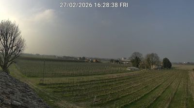 immagine della webcam nei dintorni di Forlì: webcam Bagnacavallo