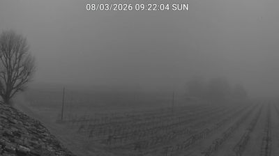 immagine della webcam nei dintorni di Bagnara di Romagna: webcam Bagnacavallo