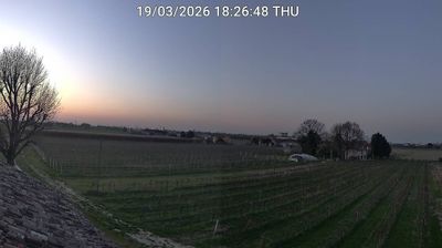 immagine della webcam nei dintorni di Marina Romea: webcam Bagnacavallo