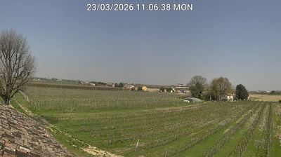 immagine della webcam nei dintorni di Porto Corsini: webcam Bagnacavallo