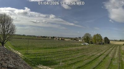 immagine della webcam nei dintorni di Punta Marina: webcam Bagnacavallo