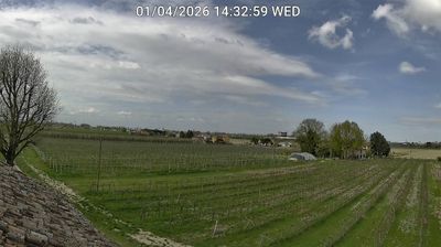 immagine della webcam nei dintorni di Punta Marina: webcam Bagnacavallo