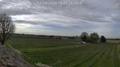 immagine della webcam nei dintorni di Punta Marina: webcam Bagnacavallo