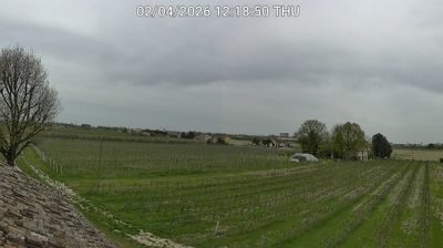 immagine della webcam nei dintorni di Conselice: webcam Bagnacavallo