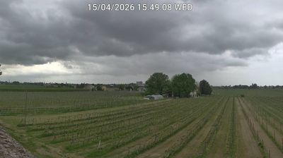 immagine della webcam nei dintorni di Forlì: webcam Bagnacavallo