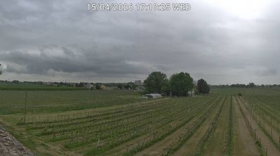 immagine della webcam nei dintorni di Castrocaro Terme e Terra del Sole: webcam Bagnacavallo
