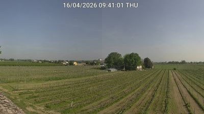 immagine della webcam nei dintorni di Forlì: webcam Bagnacavallo