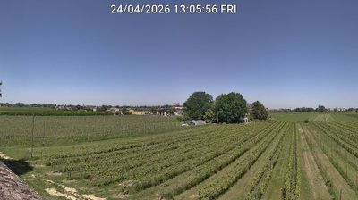 immagine della webcam nei dintorni di Medicina: webcam Bagnacavallo