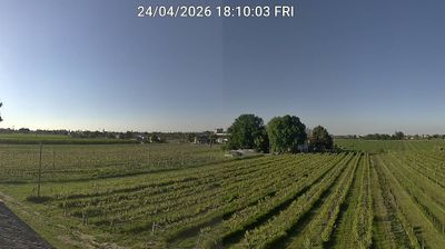 immagine della webcam nei dintorni di Bagnara di Romagna: webcam Bagnacavallo