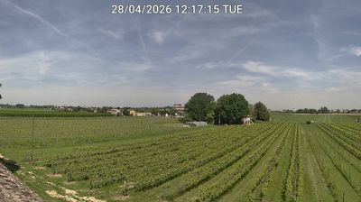 Preview delle webcam di Bagnacavallo