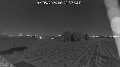 immagine della webcam nei dintorni di Porto Garibaldi: webcam Bagnacavallo