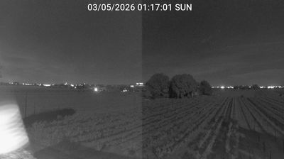 immagine della webcam nei dintorni di Punta Marina: webcam Bagnacavallo