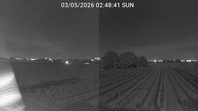 immagine della webcam nei dintorni di Bagnara di Romagna: webcam Bagnacavallo