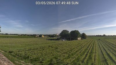immagine della webcam nei dintorni di Modigliana: webcam Bagnacavallo