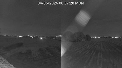 immagine della webcam nei dintorni di Riolo Terme: webcam Bagnacavallo